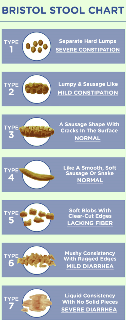 poop shape and color chart bristol stool chart 