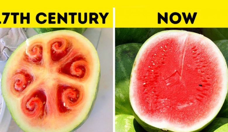 16 Most Interesting Facts Our World That Can Puzzle Anyone