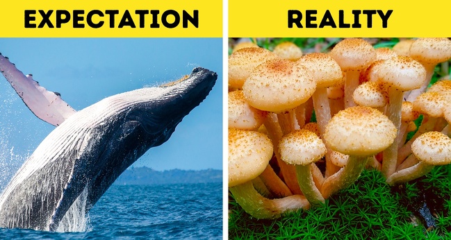 17 Incredible Scientific Facts That Seem Too Crazy to Be True