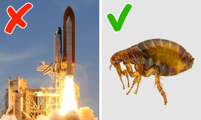 17 Incredible Scientific Facts That Seem Too Crazy to Be True