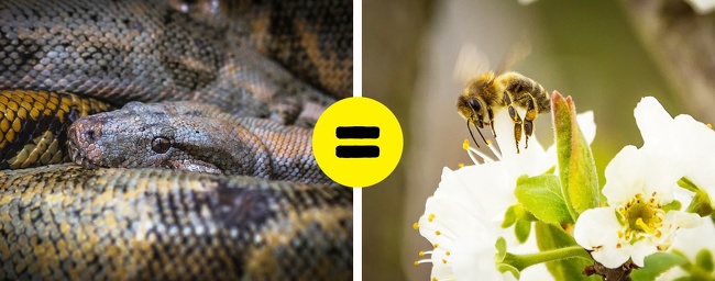 16 Most Interesting Facts Our World That Can Puzzle Anyone