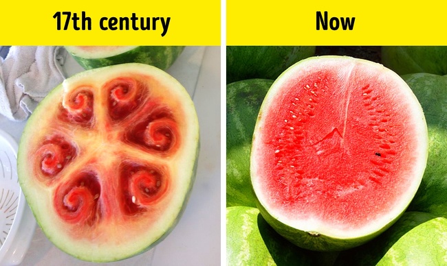 16 Most Interesting Facts Our World That Can Puzzle Anyone