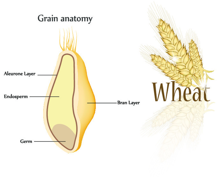 7 Grains To Eat If You Want To Lose Weight And 3 To Avoid