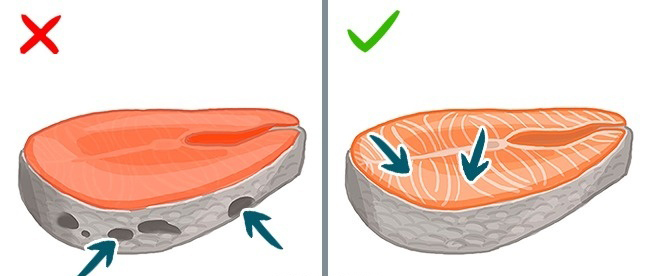 9 Kinds of Fish You Shouldn’t Eat To Stay Healthy