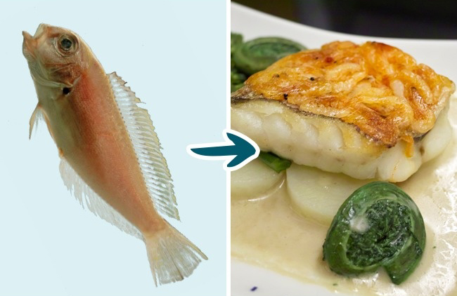 9 Kinds of Fish You Shouldn’t Eat To Stay Healthy