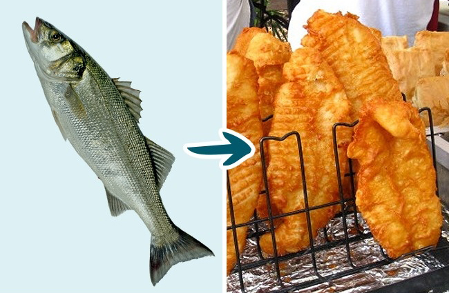 9 Kinds of Fish You Shouldn’t Eat To Stay Healthy