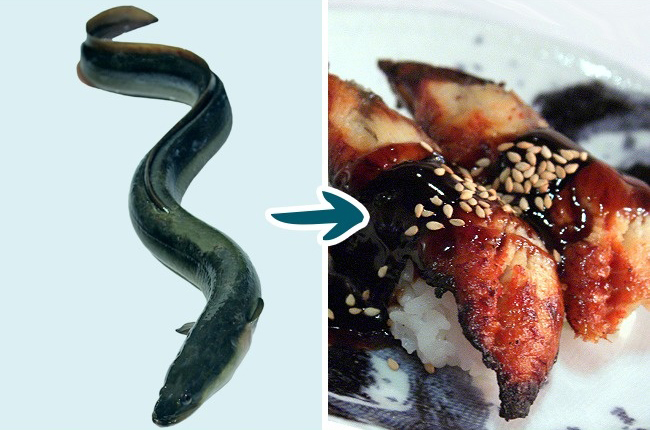 9 Kinds of Fish You Shouldn’t Eat To Stay Healthy