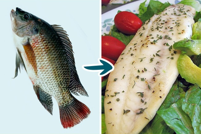 9 Kinds of Fish You Shouldn’t Eat To Stay Healthy