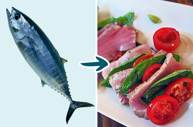 9 Kinds of Fish You Shouldn’t Eat To Stay Healthy