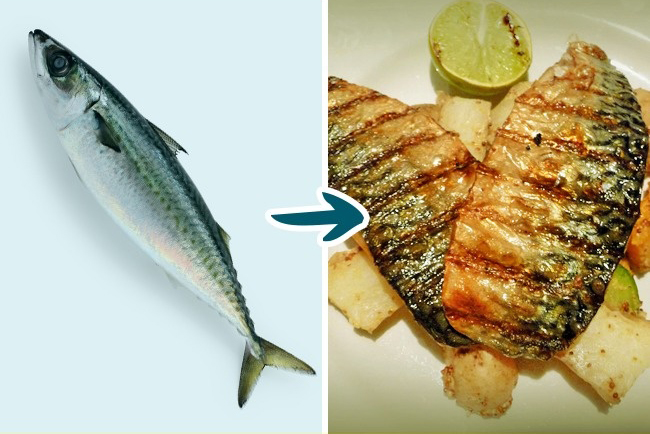 9 Kinds of Fish You Shouldn’t Eat To Stay Healthy