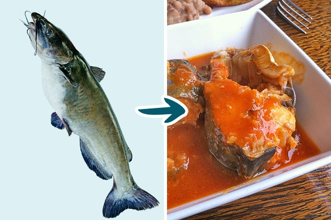 9 Kinds of Fish You Shouldn’t Eat To Stay Healthy