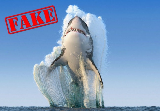 10 Famous Fake Photographs Which Seem Absolutely Real