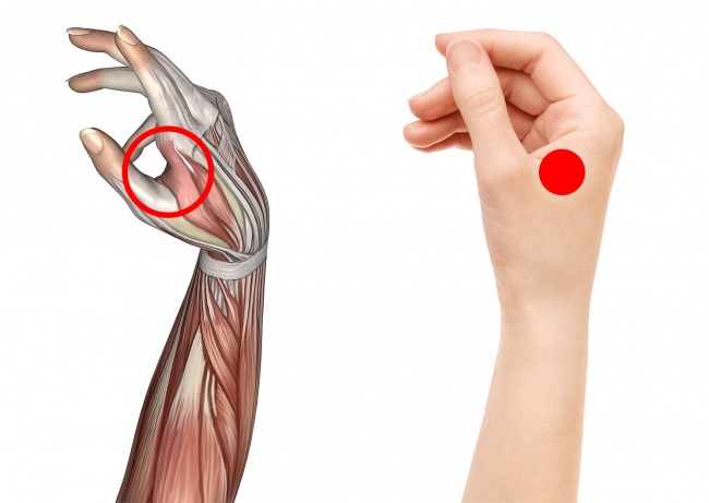 10 Pressure Point To Speed Up Your Metabolism And Lose Weight