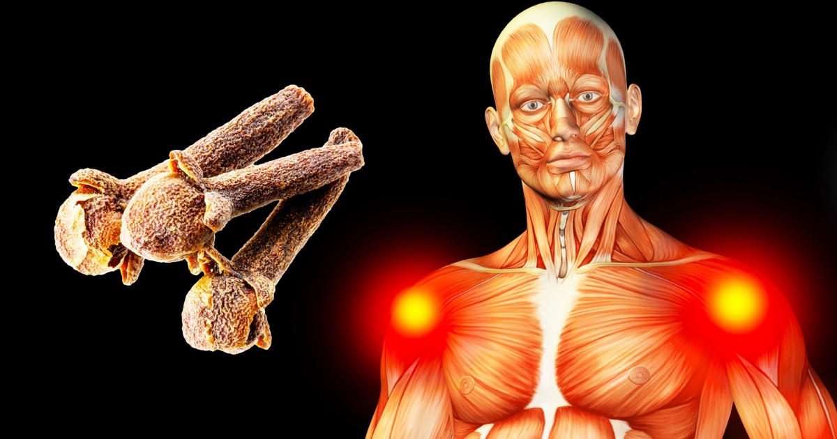 This Will Happens to Your Body If You Start Eating 2 Cloves a Day