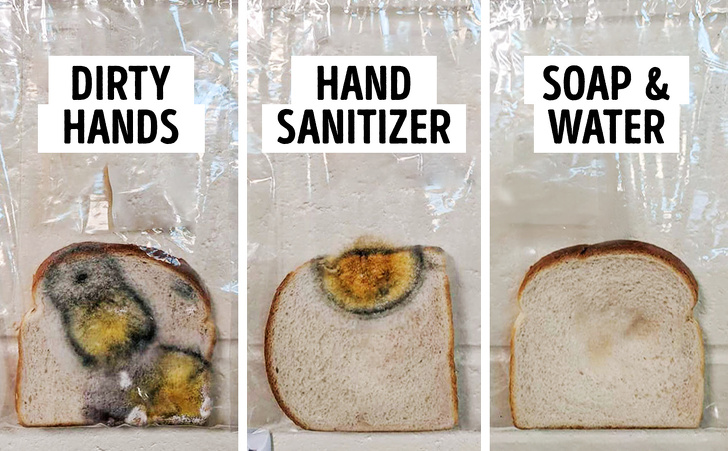 A Teacher Did an Experiment to Show the Power of Handwashing And The Results Are Shocking