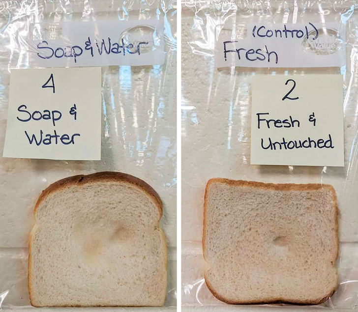 A Teacher Did an Experiment to Show the Power of Handwashing And The Results Are Shocking