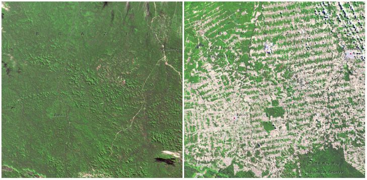 Earth, Then and Now: NASA Images Revealed Dramatic Changes in Our Planet