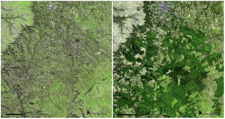 Earth, Then and Now: NASA Images Revealed Dramatic Changes in Our Planet