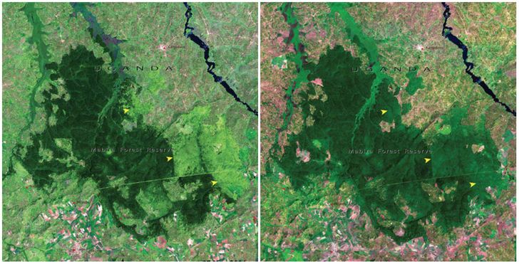 Earth, Then and Now: NASA Images Revealed Dramatic Changes in Our Planet