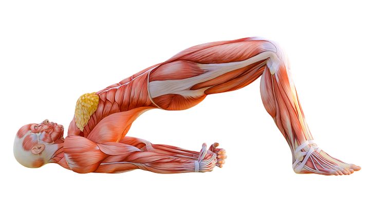 8 Best Stretching Exercises for Better Flexibility