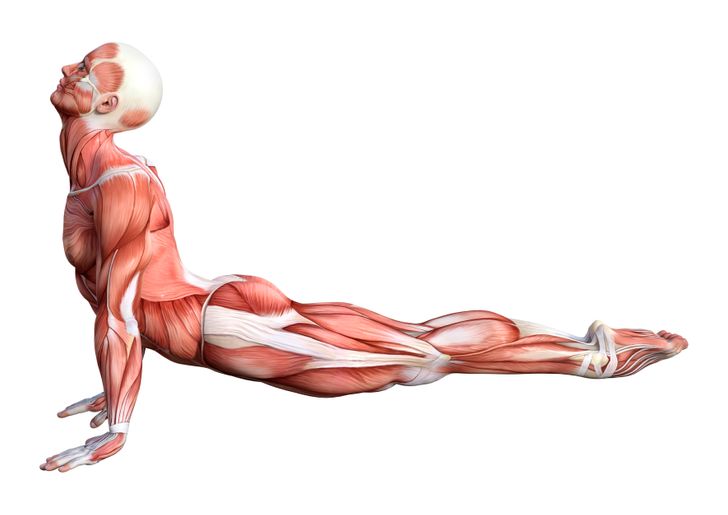 8 Best Stretching Exercises for Better Flexibility