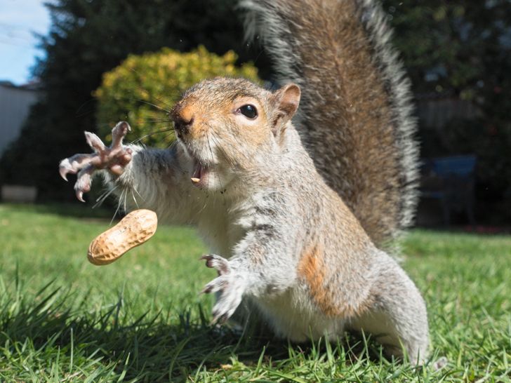 12 Superb Photographs That Were Taken At The Perfect Time