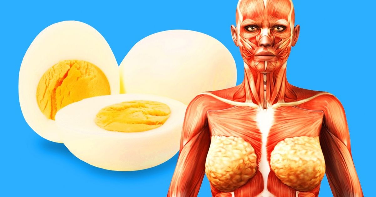 7 Things That Can Happen to Your Body If You Start Eating 2 Eggs a Day