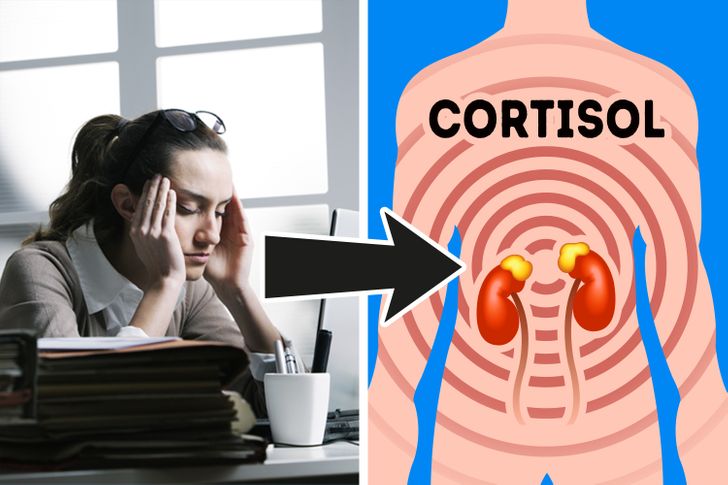 7 Hormones That Lead to Weight Gain and Ways to Avoid It