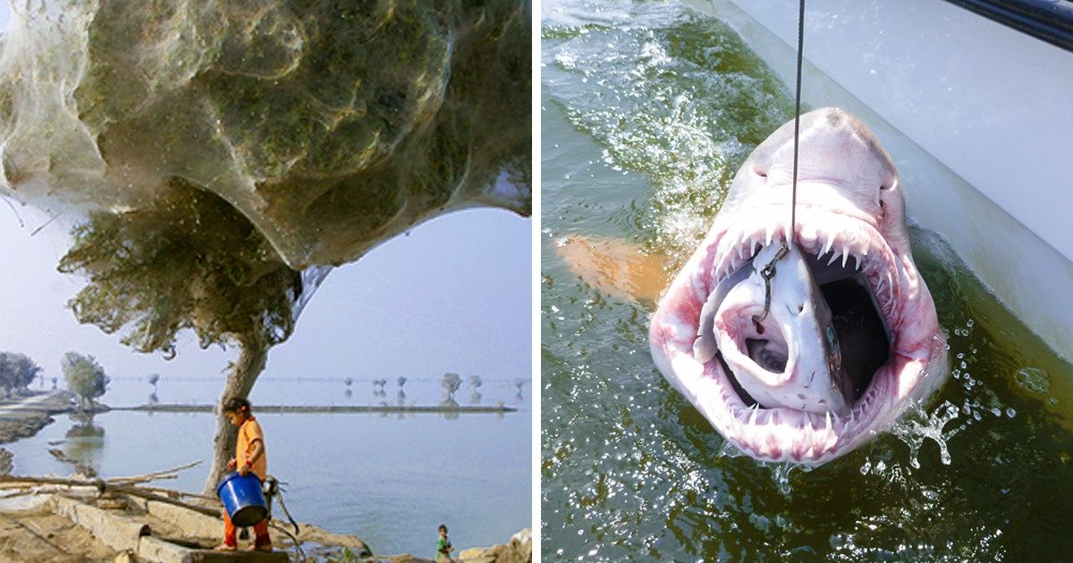 10 Incredible Photos That May Look Fake, But They’re as Real as You Are