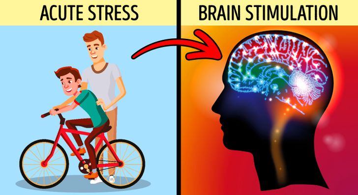 The Different Types of Stress and Some of Them Actually Good for You