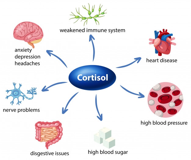 How to Get Your Weight Gain Hormones Under Control