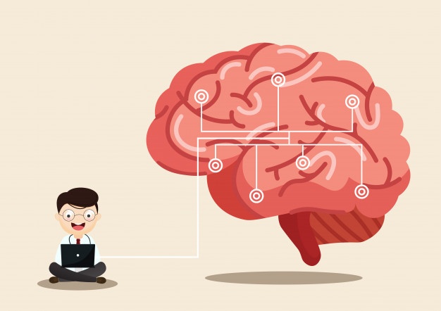 6 Habits of Highly Healthy Brains in Order of Importance