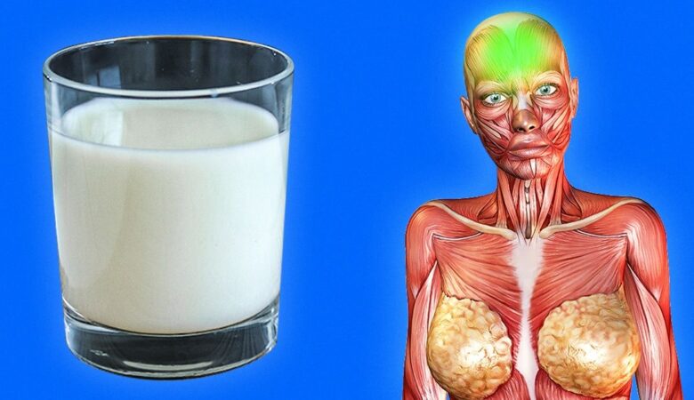 Why We Should Drink Milk Before Going to Bed