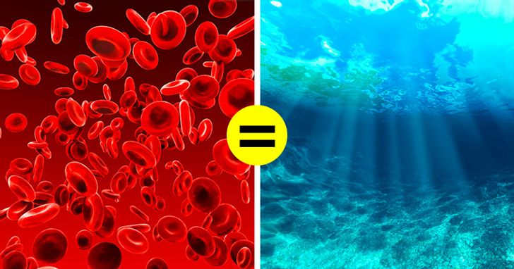 Mind-Blowing Scientific Facts You Probably Didn’t Learn in School