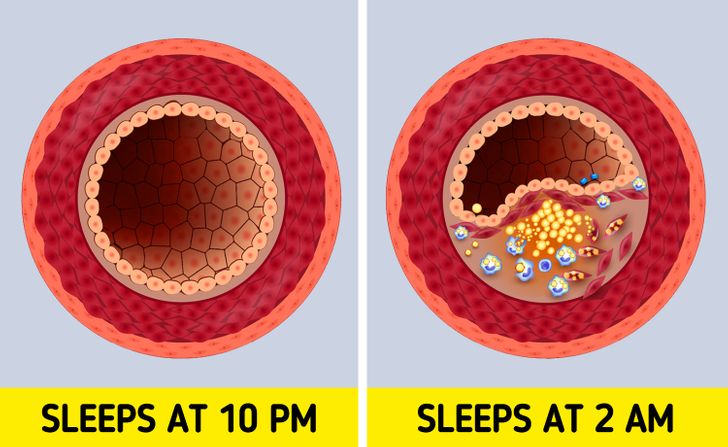 What Happens to Your Body When You Go to Sleep at 10 PM