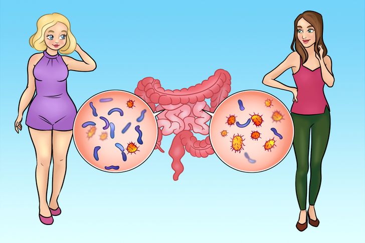 Studies Show That Your Waist Size Is Linked to Your Gut Bacteria