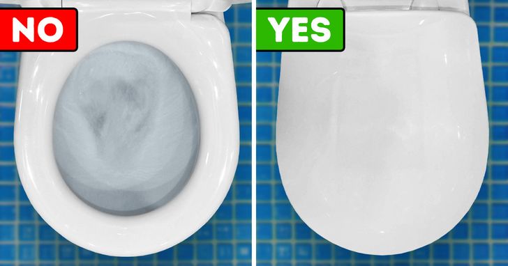 Why We Should Always Put the Toilet Lid Down When We Flush