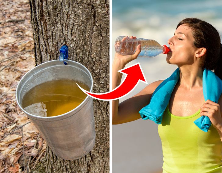 What Can Happen to Your Body If You Add Maple Syrup to Your Breakfast Every Morning