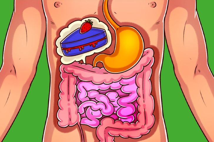 Scientists Explain Why You Always Have Room for Dessert, Even If You’re Full