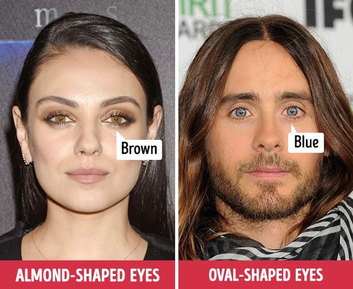 12 Facial Features and Personality Traits That Everybody Loves