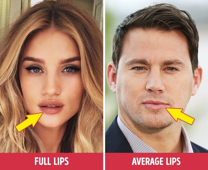 12 Facial Features and Personality Traits That Everybody Loves