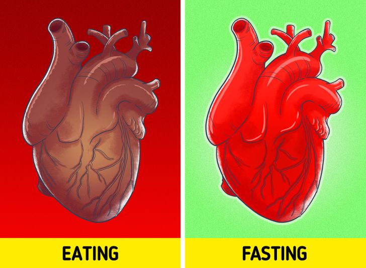 What Can Happen to Your Body If You Fast for 3 Days