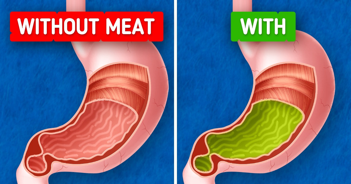 What Might Happen If You Stop Eating Meat Altogether