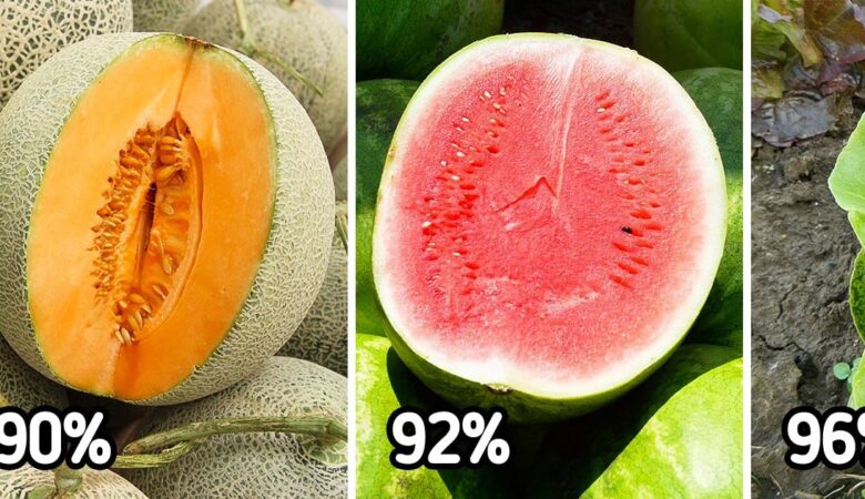 10 Fruits and Vegetables That Hydrate Your Body and Energize You