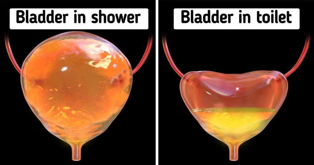 Why Peeing in the Shower May Not Be a Good Idea, According to Science